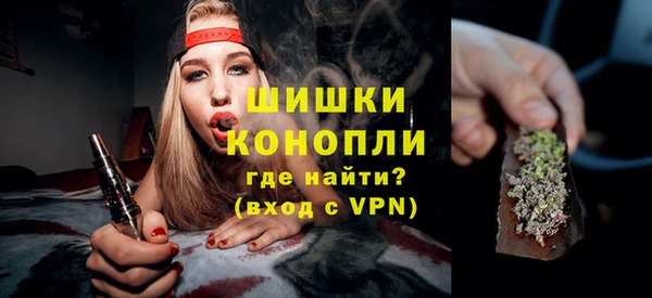 прущие грибы Богородск