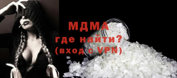 индика Богородицк