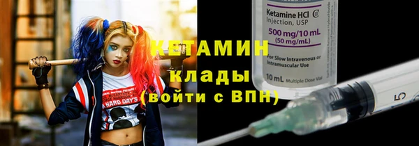 индика Богородицк