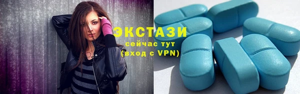 индика Богородицк