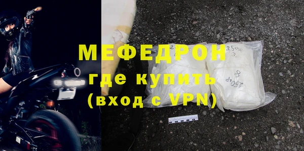 индика Богородицк