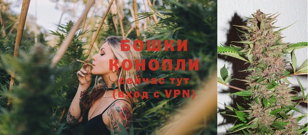 PSILOCYBIN Протвино