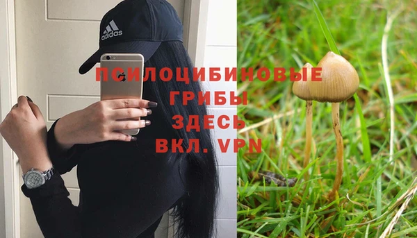 спиды Богданович