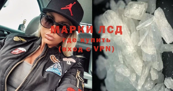 прущие грибы Богородск