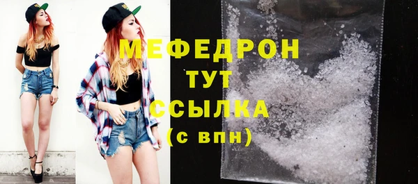 индика Богородицк