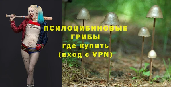 МДМА Бородино